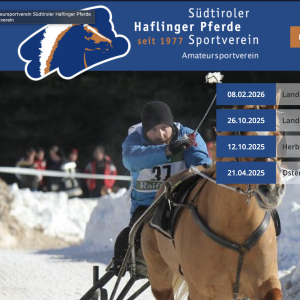 haflinger-pferdesportverein.com